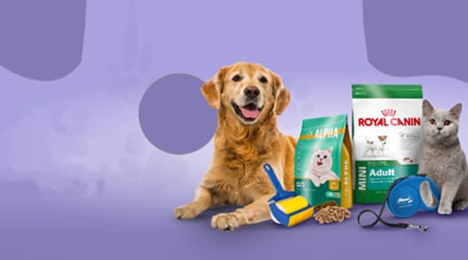 Dog and cat with pet food and supplies